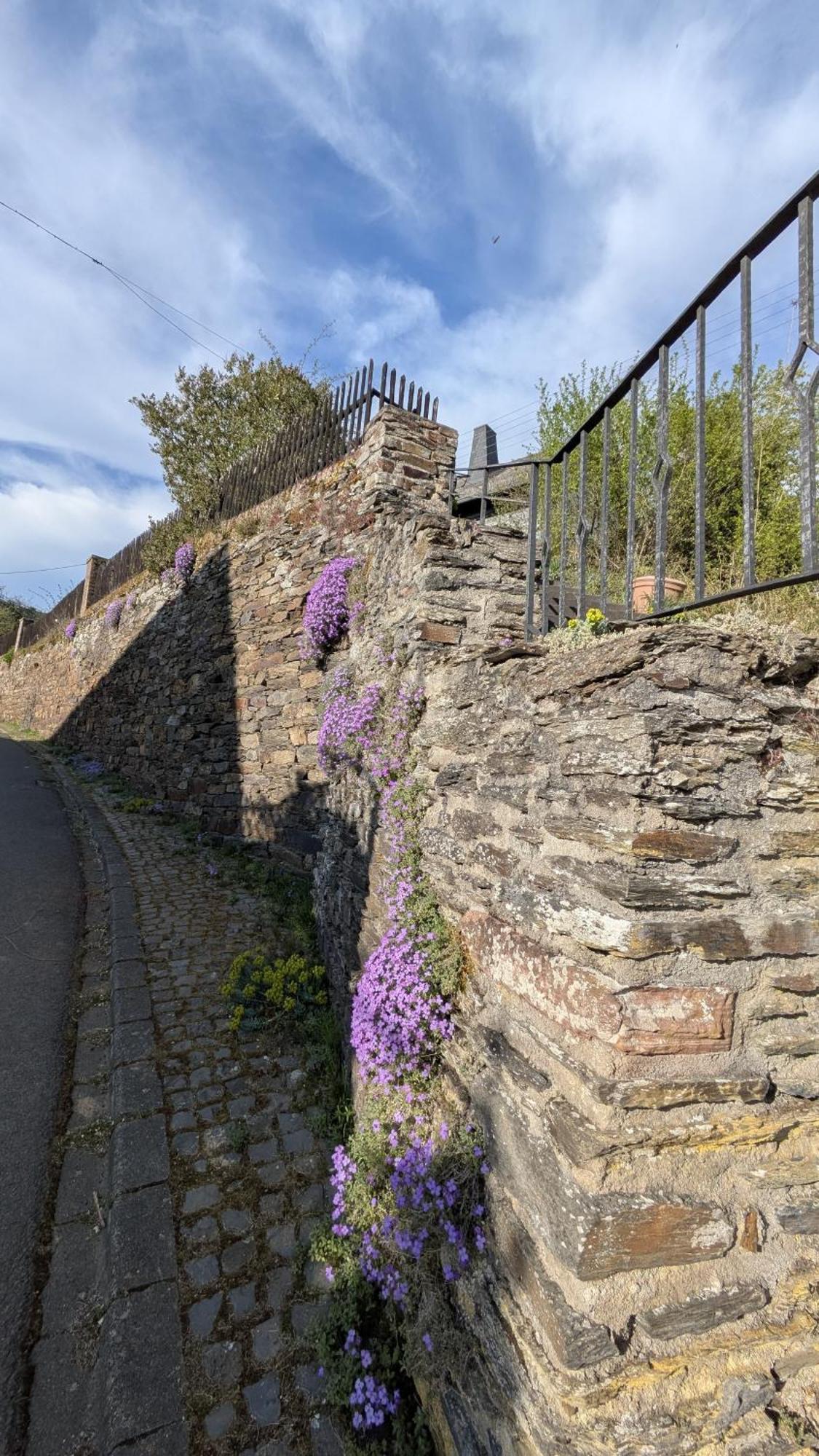 Zum Alten Pfarrhaus Damscheid Eksteriør bilde